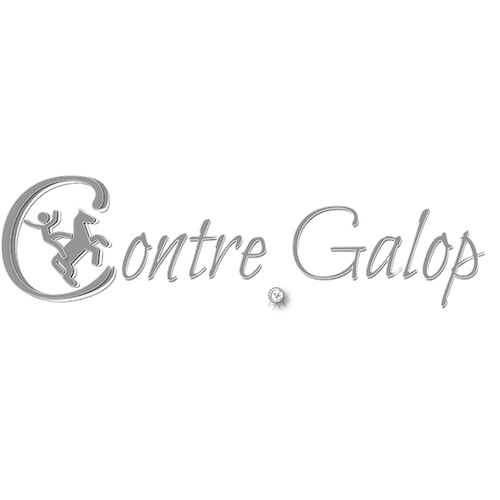 logo-blog-equestre.png