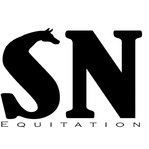 logo-site-cheval-1.png